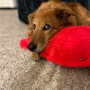 Meet your Posher, Lindsey